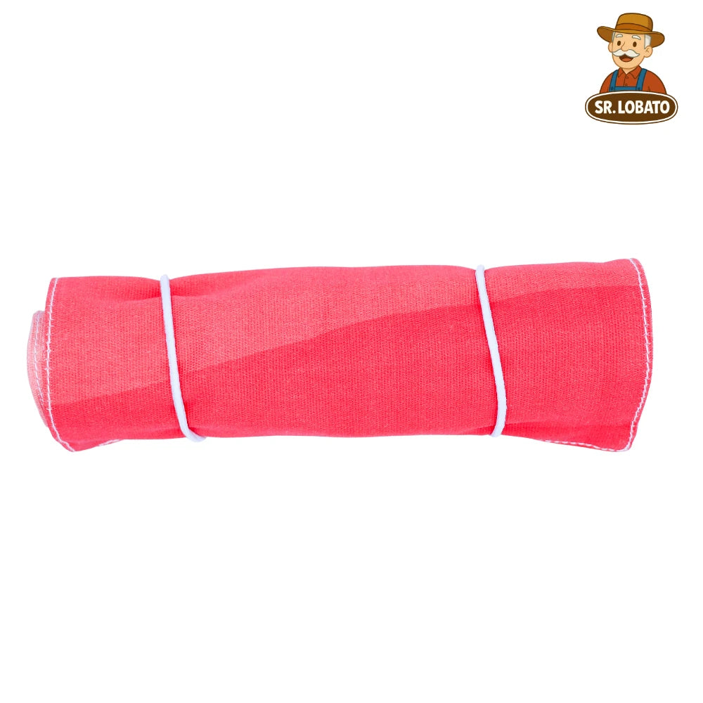 Estojo de Lápis Jaipur – Versão Longa com 12 Lápis Viarco