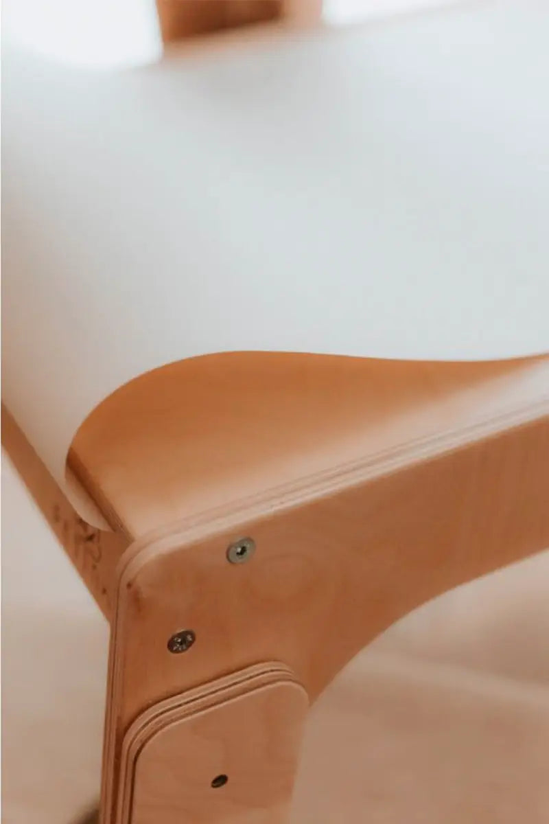 Paper roll with holder for Petinka tables